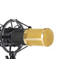 NW 800 CONDENSER MICROPHONE SHOCK MOUNT POWER CAB